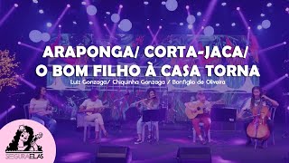 FESTIVAL CANTO A CANTO  Araponga Corta jaca O Bom Filho à Casa Torna  Regional Segura Elas [upl. by Nnairrek]