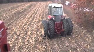 picking corn with ih 715 diesel [upl. by Yert561]