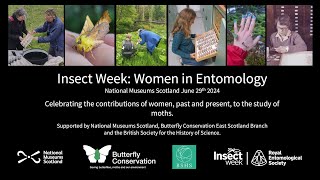 Women in Entomology Panel  Insect Week [upl. by Llennaj]