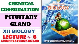 Pituitary gland  chemical coordination class 12  Class 12 Sindh board New biology book [upl. by Needan]