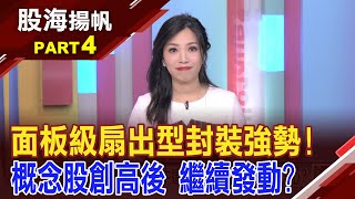 何謂面板扇出型封裝 FOPLP將取代FOWLP 轉機題材護航東捷 Q2營收年增5倍 EPS 024元│202410264股海揚帆陳斯寧 白易弘ustvbiz [upl. by Enylodnewg984]