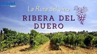 Ruta de vino Ribera del Duero 10 básicos [upl. by Lorollas608]