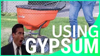 Stop Applying Gypsum For Clay Soil amp Lawns  Lawn Care How To [upl. by Cordle]