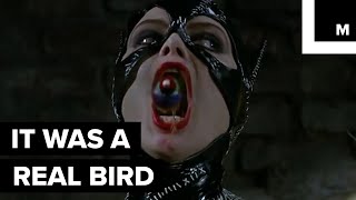 Michelle Pfeiffers Batman Returns scene [upl. by Cantu]