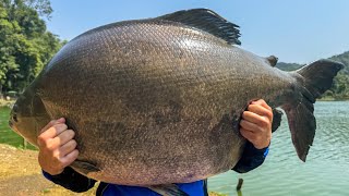 PESCA DOS TAMBAS GIGANTES NO EVA [upl. by Heise]