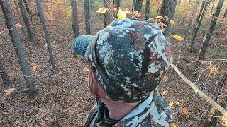 BEAST BROADHEADS  LOW POUNDAGE  2 DEER DOWN [upl. by Lali]