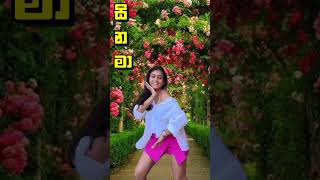 කොහොමද ශනුද්‍රිගෙ නැටුම 👌😀Shanudris dance song music [upl. by Lainahtan]