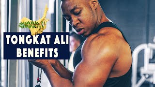 4 BENEFITS OF TONGKAT ALI amp concerns  Testosterone Vitaliser for men amp women [upl. by Hoxie]