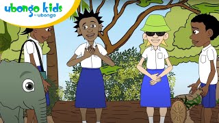 Believing in yourself with Kiduchu  Ubongo Kids  Learning videos for kids [upl. by Larrie]