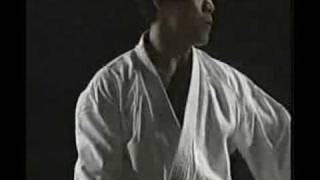 Naito Sensei and Contarelli Demo Kumite 1992 [upl. by Zima]