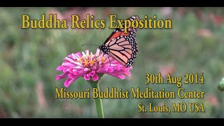 Buddha Relics Exposition 2014 [upl. by Eninaj]