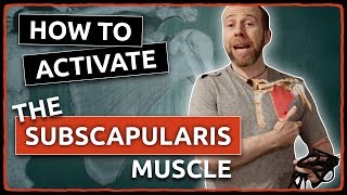 How to ACTIVATE The SUBSCAPULARIS Muscle [upl. by Airbmak534]