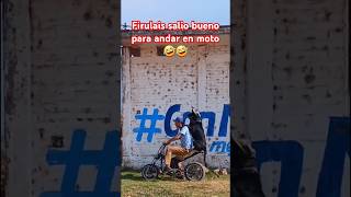 Firulais salió bueno para andar en moto🤣🤣 [upl. by Celtic]