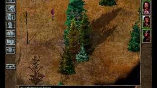 Baldurs Gate Walkthrough Part 8 Ogre Hunting [upl. by Ellenad]