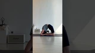 카포타사나 kapotasana [upl. by Leffert]