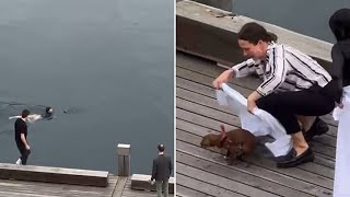 Could You Do This Woman’s Brave Sydney Harbour Rescue [upl. by Meirrak163]