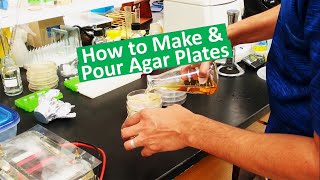 Pouring LB agar plates [upl. by Audrie]