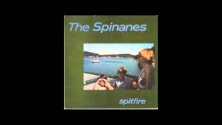 The Spinanes  Bad Karma Crackerbash Cover [upl. by Windy]