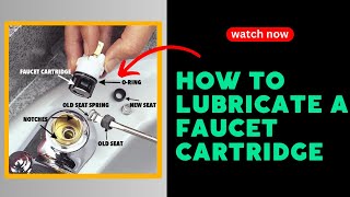 How To Lubricate A Faucet Cartridge [upl. by Clywd]