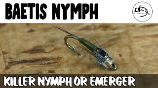 Fly Tying Tutorial Standard Baetis Nymph [upl. by Mcgraw]