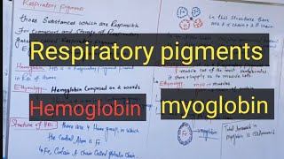 Respiratory pigmentsHemoglobinmyoglobinpashto detail lectures [upl. by Nnylidnarb]