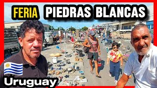 Piedras Blancas La feria más quotPELIGROSAquot de Uruguay [upl. by Lladnarc793]