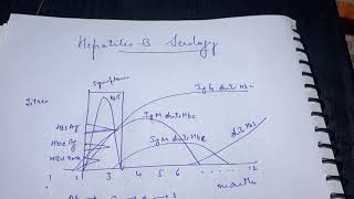 Hepatitis B serology curve  interpretation made easy [upl. by Edyaw767]