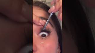 Cluster Eyelashes Grafting False beauty fyp makeup eyelashextension eyelashes [upl. by Nacnud]