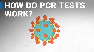 How do COVID19 tests work RTPCR explained [upl. by Vinnie253]