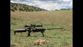 2nd Airgun Prairie Dog Hunt in Arizona [upl. by Ardnuhsed95]