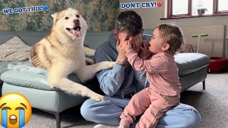 Husky Puppies amp Babies Hilarious Reaction To Dad Fake Crying Prank😭💙 BABY MIMICKS DAD [upl. by Argus637]