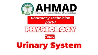 Urinary System in UrduHindi II Physiology II Pharmacy Technician Part1 [upl. by Horwath928]