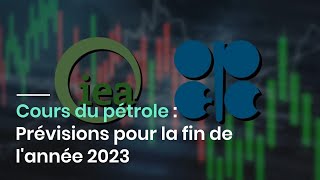 Cours du pétrole  Prévisions pour la fin de lannée 2023 [upl. by Hosfmann]