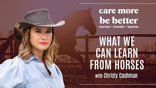 What We Can Learn From Horses With Christy Cashman [upl. by Buckden991]