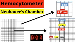 Hemocytometer  Neubauer chamber  RBC count  WBC count  Cell Count  Calculation  Hindi mlt [upl. by Noorah]