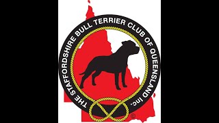 THE STAFFORDSHIRE BULL TERRIER CLUB OF QUEENSLAND INC [upl. by Nevram]