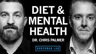 Dr Chris Palmer Diet amp Nutrition for Mental Health [upl. by Kazue]