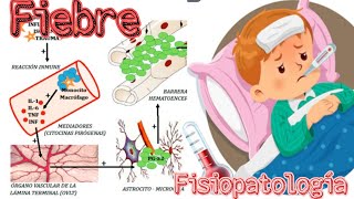 Fisiopatología de la Fiebre Bases inmunológicas [upl. by Shana]