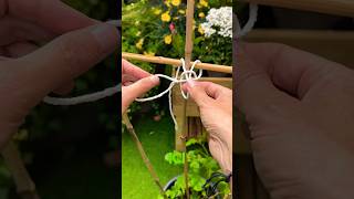 TUTO utile au jardin  Comment attacher bambous ensemble pour avoir des tuteurs solides  diy [upl. by Broeder]