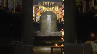 Kabaleeshwara Kailasnadha Thiruvadigal Saranam tamil murugansongs sivanwhatsappstatustamil [upl. by Tamqrah]