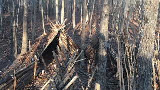 Building Survival Forts In The Woods [upl. by Shamma]