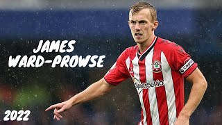 James WardProwse 20222023 ● Best Skills and Goals ● HD [upl. by Brinkema]