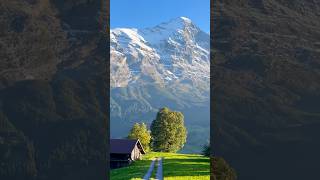 Grindelwald Scenic Mountain View’s⛰️Totally Epic❤️Watch Full vid in link⬆️SUBSCRIBE grindelwald [upl. by Jeminah]