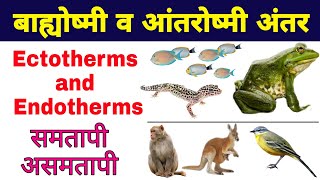 बाह्योष्मी और आंतरोष्मी में अंतर हिंदी में  ectotherms and endotherms in hindi  biology ScienceSK [upl. by Airotnes603]