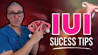 5 Ways To Boost Your IUI Success Rate  Maximize Your Chances Of Getting Pregnant [upl. by Eeruhs]