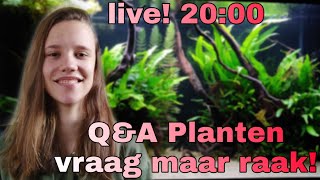 Live Aquariumplanten Houden TOP STREAM Nickey [upl. by Inavihs653]