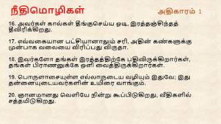 Proverbs Chapter 1 I Tamil Audio Bible [upl. by Dranyl]