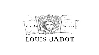 Louis Jadot Mastery in Beaune [upl. by Enilorac]