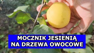 Kluczowy Oprysk Mocznikiem Jesienią Jesienne Opryski Drzew Owocowych Czym pryskać Drzewka Jesienią [upl. by Beebe]