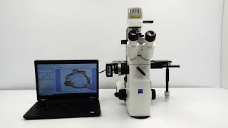 Zeiss Axio VertA1 LED Fluorescence Inverted Microscope BOSTONIND  53529 [upl. by Maggie577]